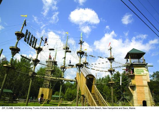 Monkey Trunks Weirs Beach